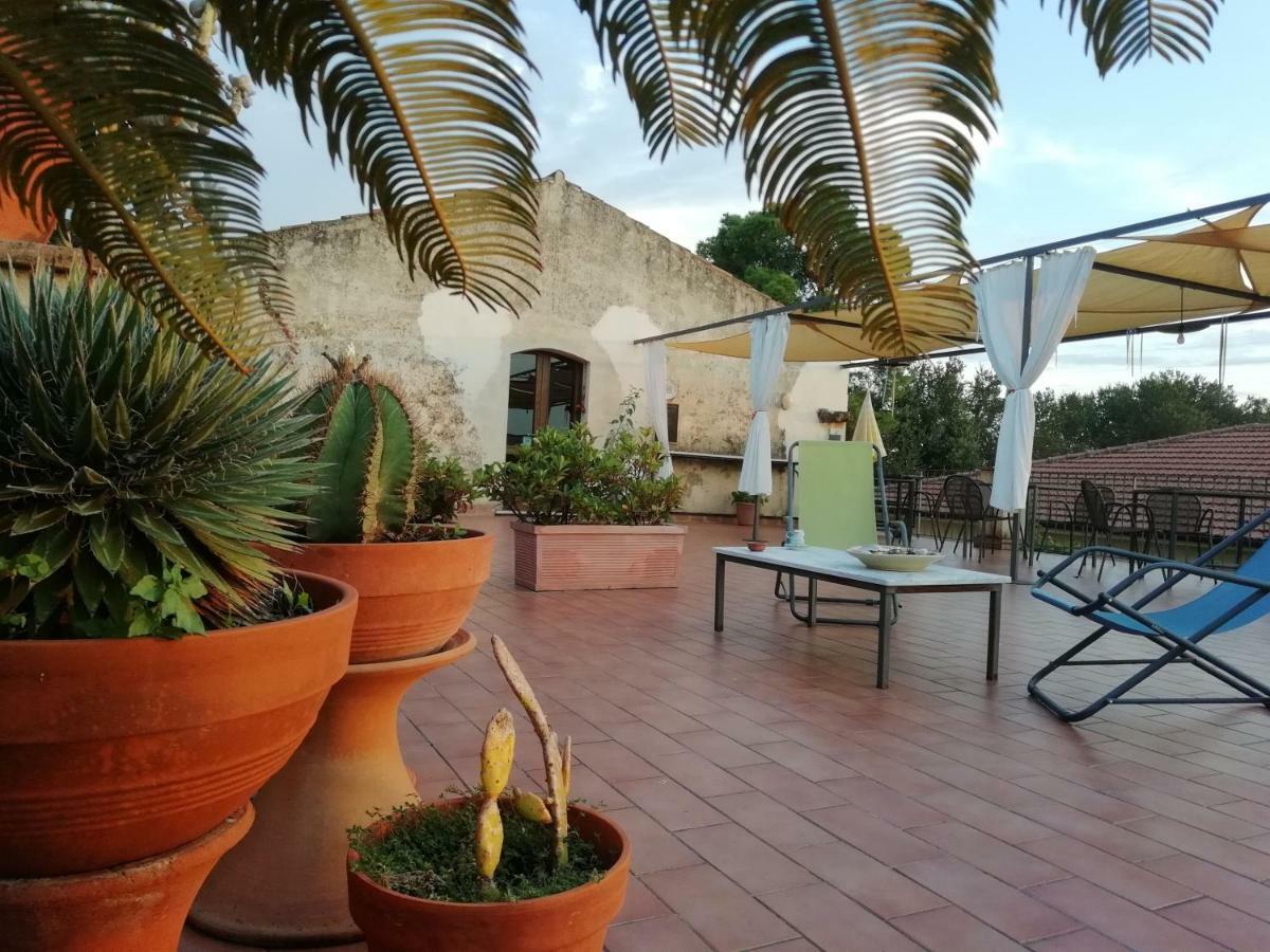 Bed and Breakfast Casa del Geco Paestum Esterno foto